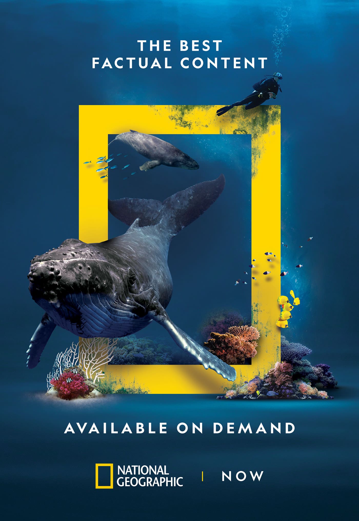 Types of Distinctive Brand Assets Distinctive Brand Assets